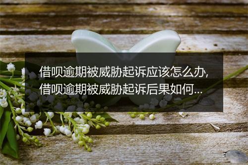 借呗逾期被威胁起诉应该怎么办,借呗逾期被威胁起诉后果如何处理