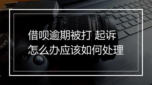 借呗逾期被打 起诉怎么办应该如何处理