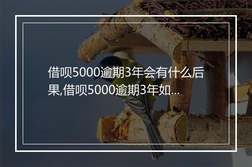 借呗5000逾期3年会有什么后果,借呗5000逾期3年如何处理