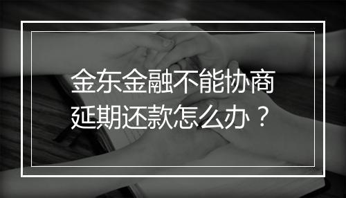 金东金融不能协商延期还款怎么办？