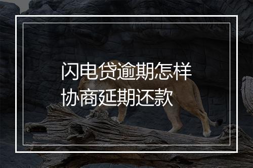 闪电贷逾期怎样协商延期还款