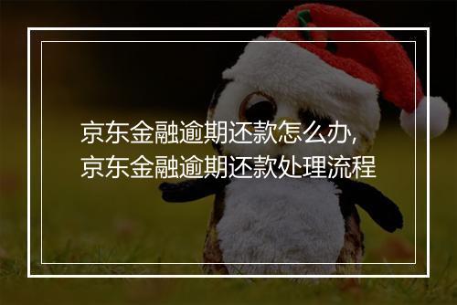 京东金融逾期还款怎么办,京东金融逾期还款处理流程