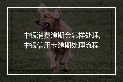 中银消费逾期会怎样处理,中银信用卡逾期处理流程