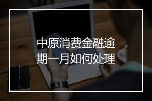 中原消费金融逾期一月如何处理