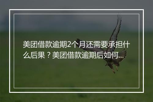 美团借款逾期2个月还需要承担什么后果？美团借款逾期后如何还款？