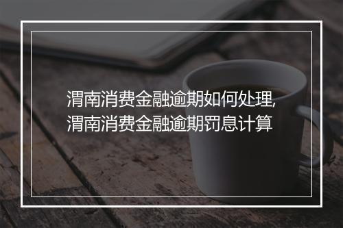 渭南消费金融逾期如何处理,渭南消费金融逾期罚息计算