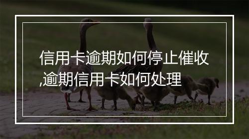 信用卡逾期如何停止催收,逾期信用卡如何处理
