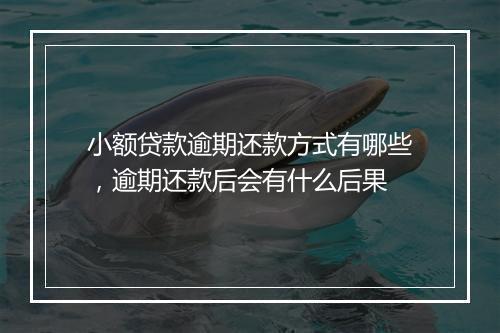 小额贷款逾期还款方式有哪些，逾期还款后会有什么后果