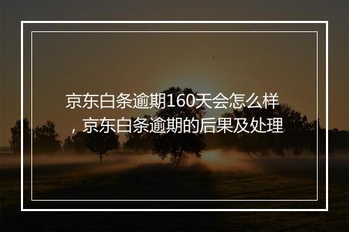 京东白条逾期160天会怎么样，京东白条逾期的后果及处理