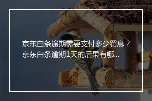 京东白条逾期需要支付多少罚息？京东白条逾期1天的后果有哪些？