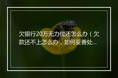 欠银行20万无力偿还怎么办（欠款还不上怎么办，如何妥善处理债务问题）
