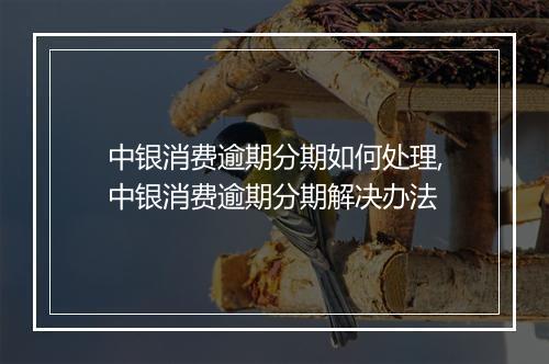 中银消费逾期分期如何处理,中银消费逾期分期解决办法