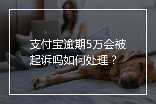 支付宝逾期5万会被起诉吗如何处理？