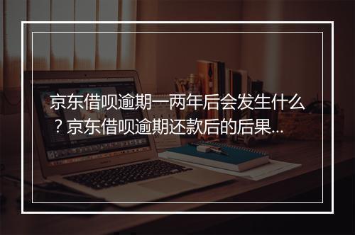 京东借呗逾期一两年后会发生什么？京东借呗逾期还款后的后果有哪些？