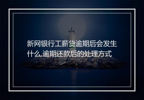 新网银行工薪贷逾期后会发生什么,逾期还款后的处理方式