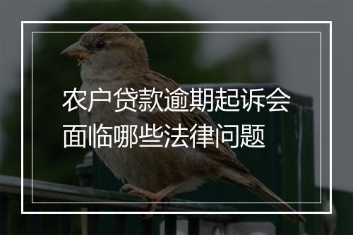 农户贷款逾期起诉会面临哪些法律问题