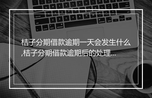 桔子分期借款逾期一天会发生什么,桔子分期借款逾期后的处理方式