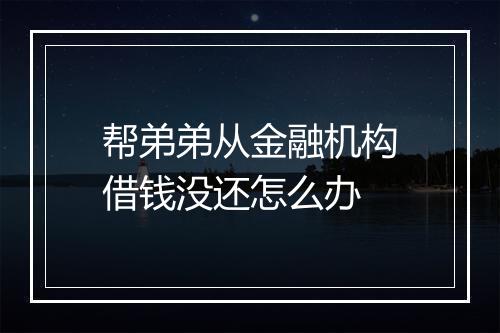 帮弟弟从金融机构借钱没还怎么办