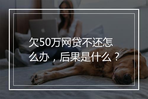 欠50万网贷不还怎么办，后果是什么？