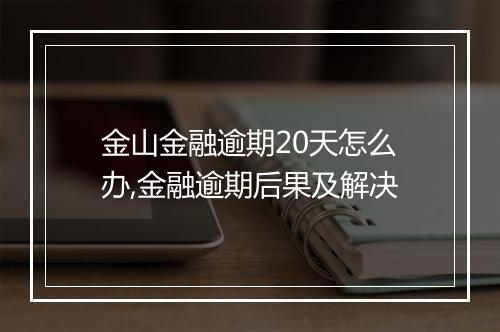 金山金融逾期20天怎么办,金融逾期后果及解决