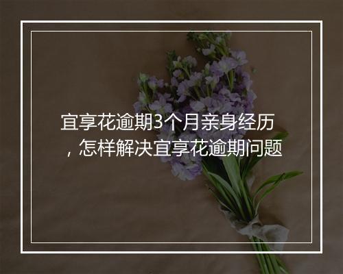 宜享花逾期3个月亲身经历，怎样解决宜享花逾期问题