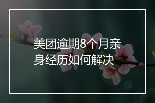 美团逾期8个月亲身经历如何解决