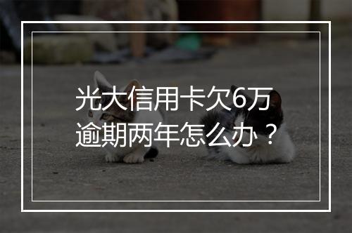 光大信用卡欠6万逾期两年怎么办？