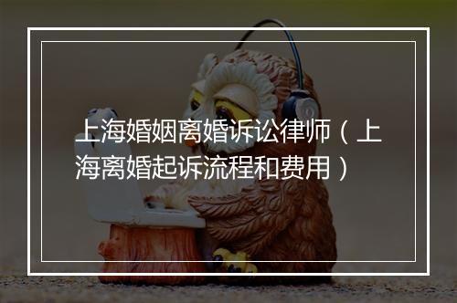 上海婚姻离婚诉讼律师（上海离婚起诉流程和费用）