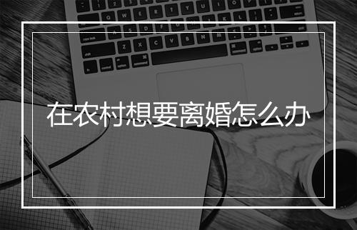 在农村想要离婚怎么办