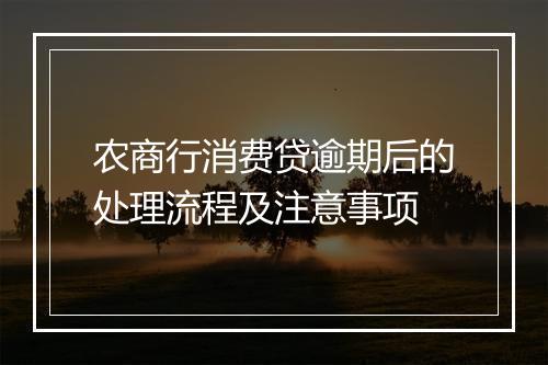 农商行消费贷逾期后的处理流程及注意事项