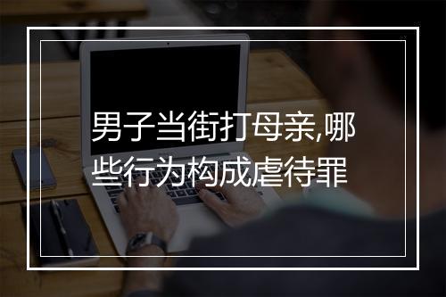 男子当街打母亲,哪些行为构成虐待罪