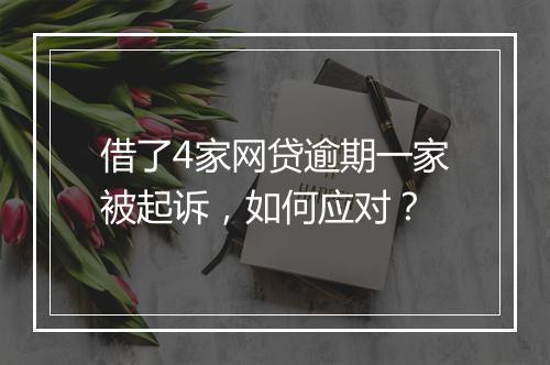 借了4家网贷逾期一家被起诉，如何应对？