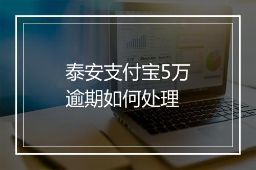 泰安支付宝5万逾期如何处理