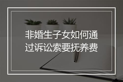 非婚生子女如何通过诉讼索要抚养费