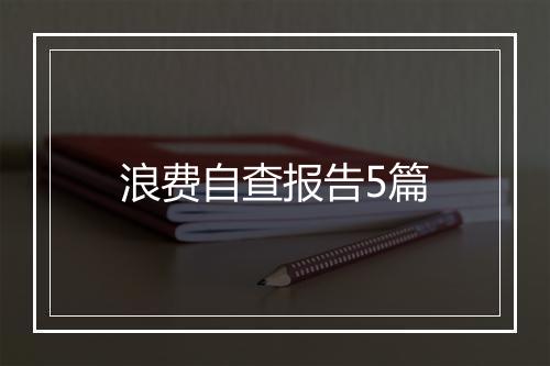 浪费自查报告5篇