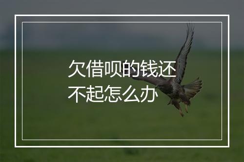 欠借呗的钱还不起怎么办
