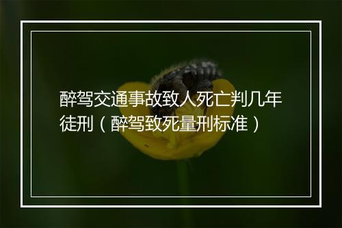醉驾交通事故致人死亡判几年徒刑（醉驾致死量刑标准）