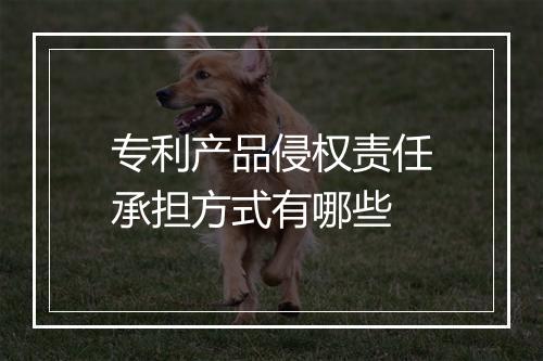 专利产品侵权责任承担方式有哪些