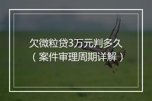 欠微粒贷3万元判多久（案件审理周期详解）