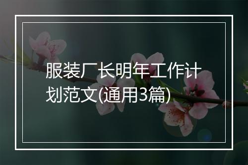 服装厂长明年工作计划范文(通用3篇)