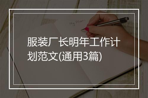 服装厂长明年工作计划范文(通用3篇)