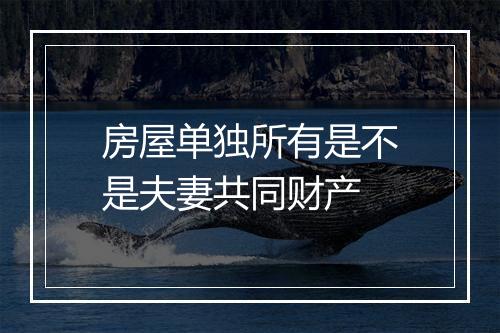 房屋单独所有是不是夫妻共同财产