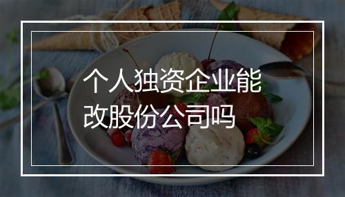 个人独资企业能改股份公司吗