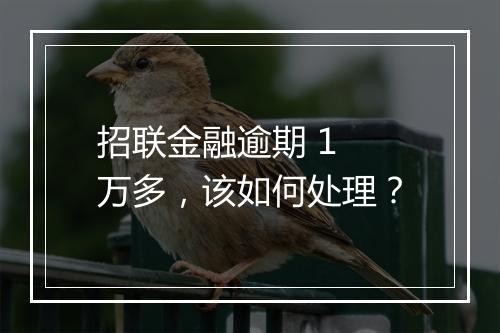 招联金融逾期 1 万多，该如何处理？