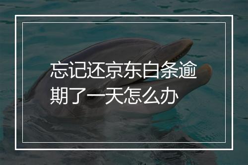 忘记还京东白条逾期了一天怎么办