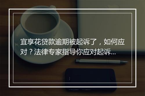 宜享花贷款逾期被起诉了，如何应对？法律专家指导你应对起诉程序