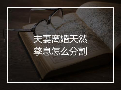 夫妻离婚天然孳息怎么分割