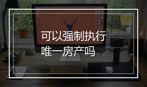 可以强制执行唯一房产吗