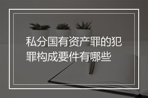 私分国有资产罪的犯罪构成要件有哪些