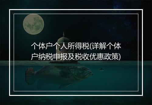 个体户个人所得税(详解个体户纳税申报及税收优惠政策)